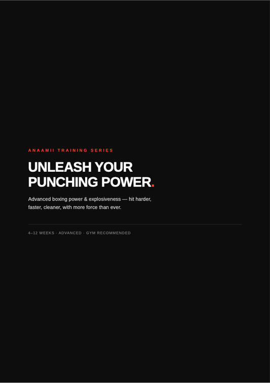 Unleash Your Punching Power - ANAAMII Training Series program cover